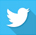 twitter follow icon