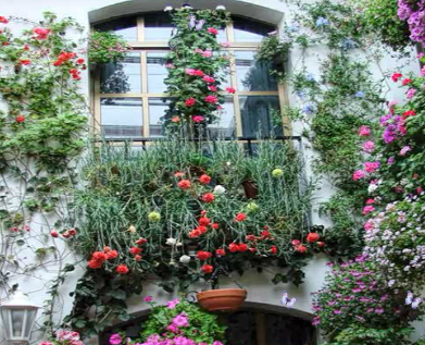 WorldEscapeGames Search Butterflies