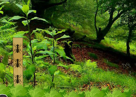 EscapeBuddies Escape Pony from Bush Forest