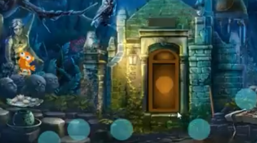 G4K Trapped Turkey Rescue