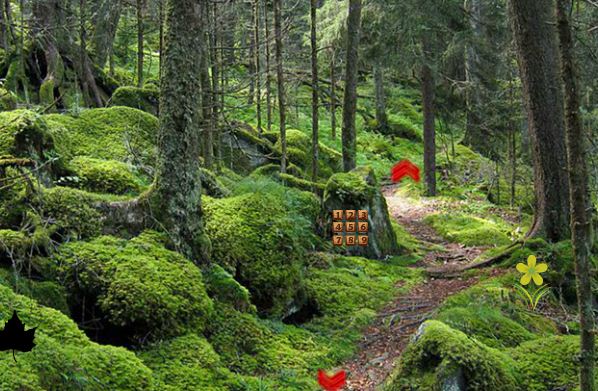 FunEscapeGames - Mountain Forest Treasure Escape