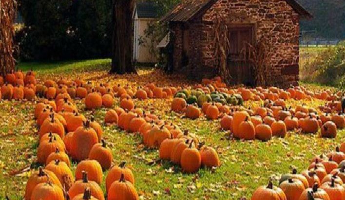 BEG - Big Pumpkin Garden Girl Escape