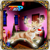 Christmas Find The Santa Reindeer