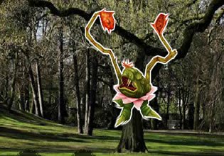 BEG Cottage Forest Escape