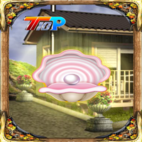 Find The Coral Stone