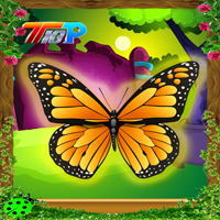 Easter Find The Butterfly