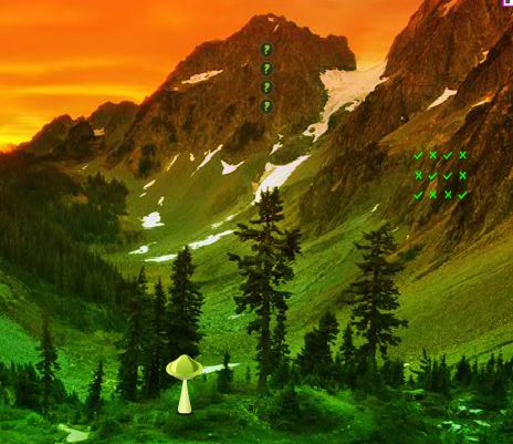 Dramatic Mountain Forest Escape