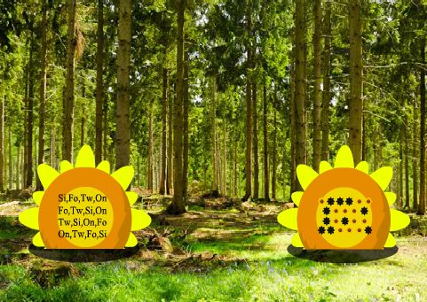 WowEscape Sunshine Forest Escape