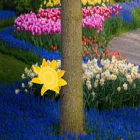 WowEscape Floret Garden Escape