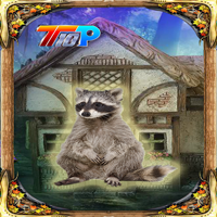 Rescue The Raccoon