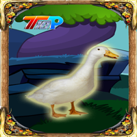 Rescue The Duck