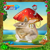 Escape From Fantasy Forest