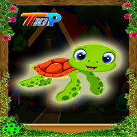 Rescue The Turtle