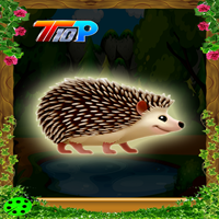 Rescue The Hedgehog