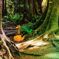 G2R Thanksgiving Brighten Forest Escape