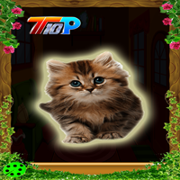 Rescue The Cute Cat