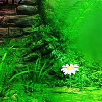 BigEscapeGames Fantasy River Forest Escape