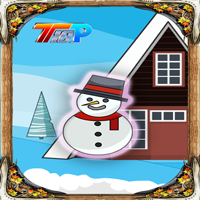 Christmas Find The Snow Man