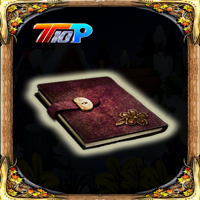 New Year Find The Diary