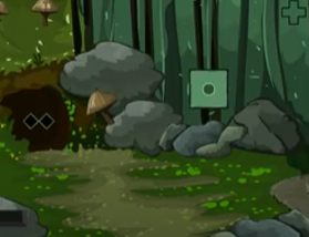 The River Forest Escape