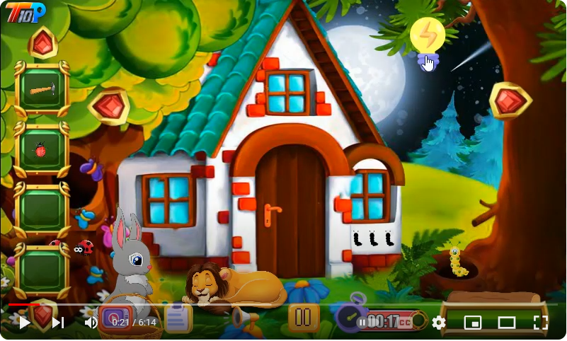 Find The Rabbit Carrot Foods 